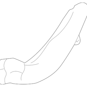 Air Duct - BMW (51-71-7-123-353)