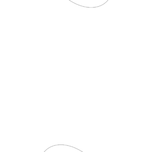 Automatic Transmission Oil Cooler Hose O-Ring - BMW (17-21-1-742-636)