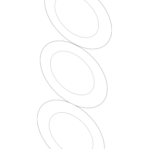 Thermostat Seal - BMW (17-12-7-507-983)