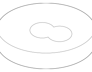 Trailing Arm Adjust Cam - BMW (33-30-3-411-796)